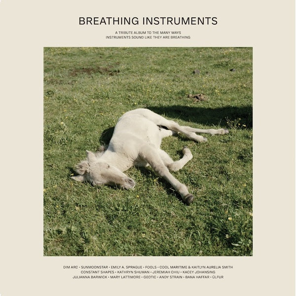 VA - Breathing Instruments | Vinyl