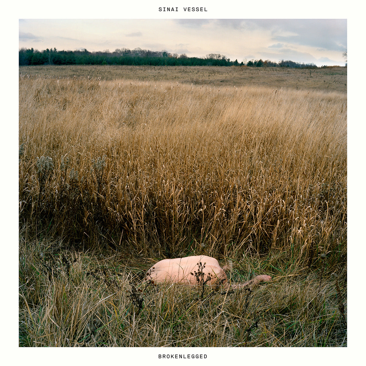 Sinai Vessel - Brokenlegged | CD
