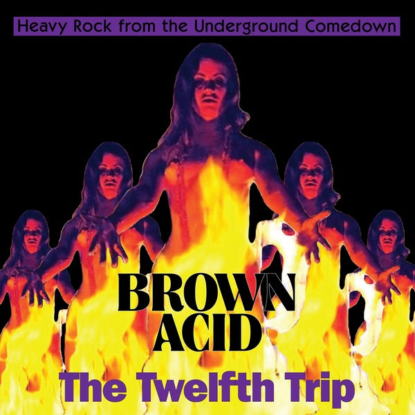 VA - Brown Acid - The Twelfth Trip | CD