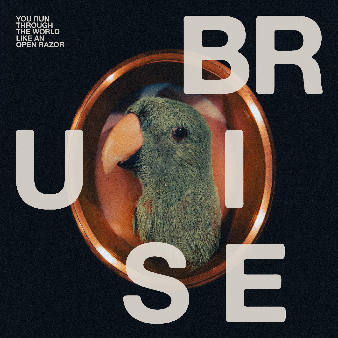 Bruise Blood | You Run Through The World Like An Open Razor | Vinyl