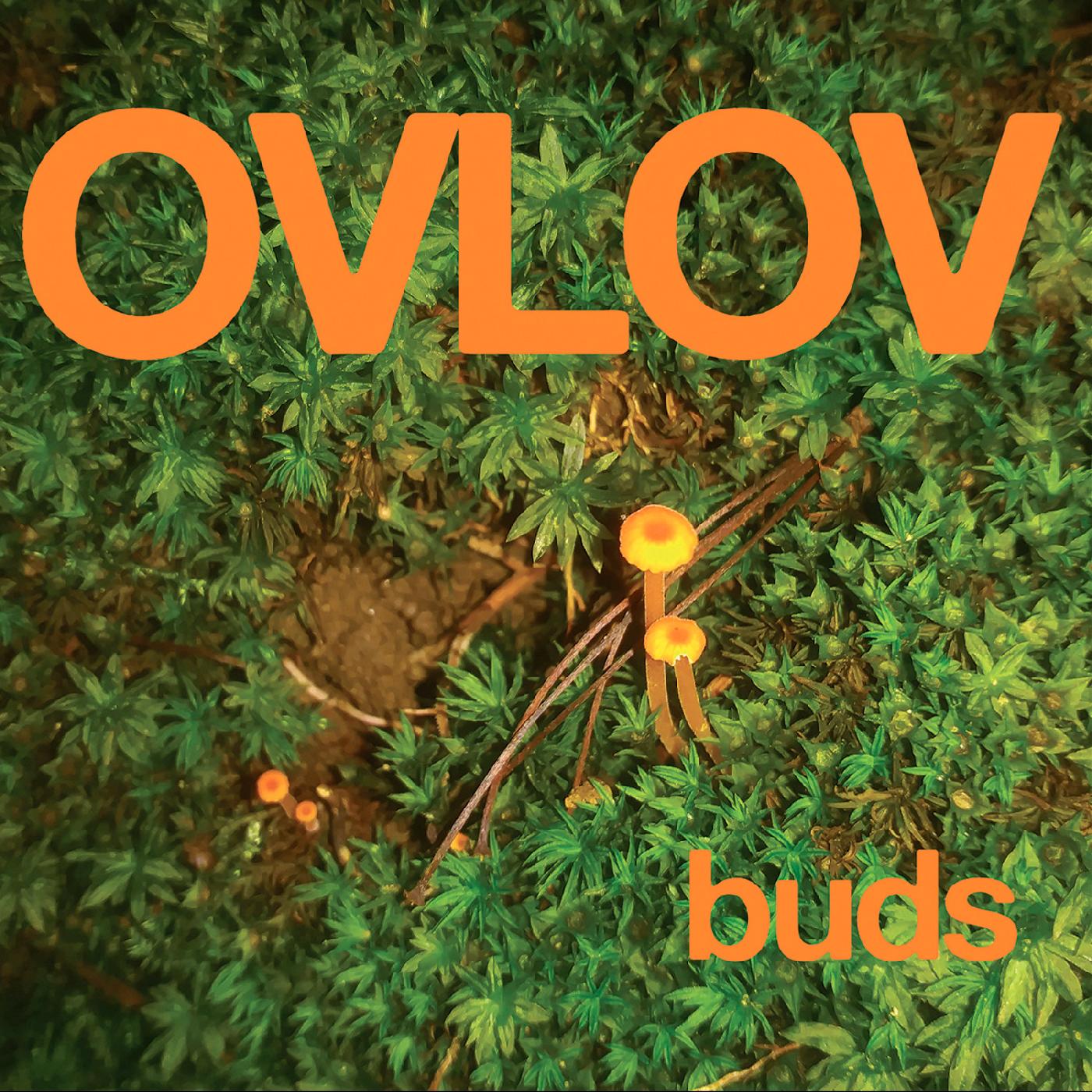 Ovlov - Buds (GREEN VINYL) | Vinyl