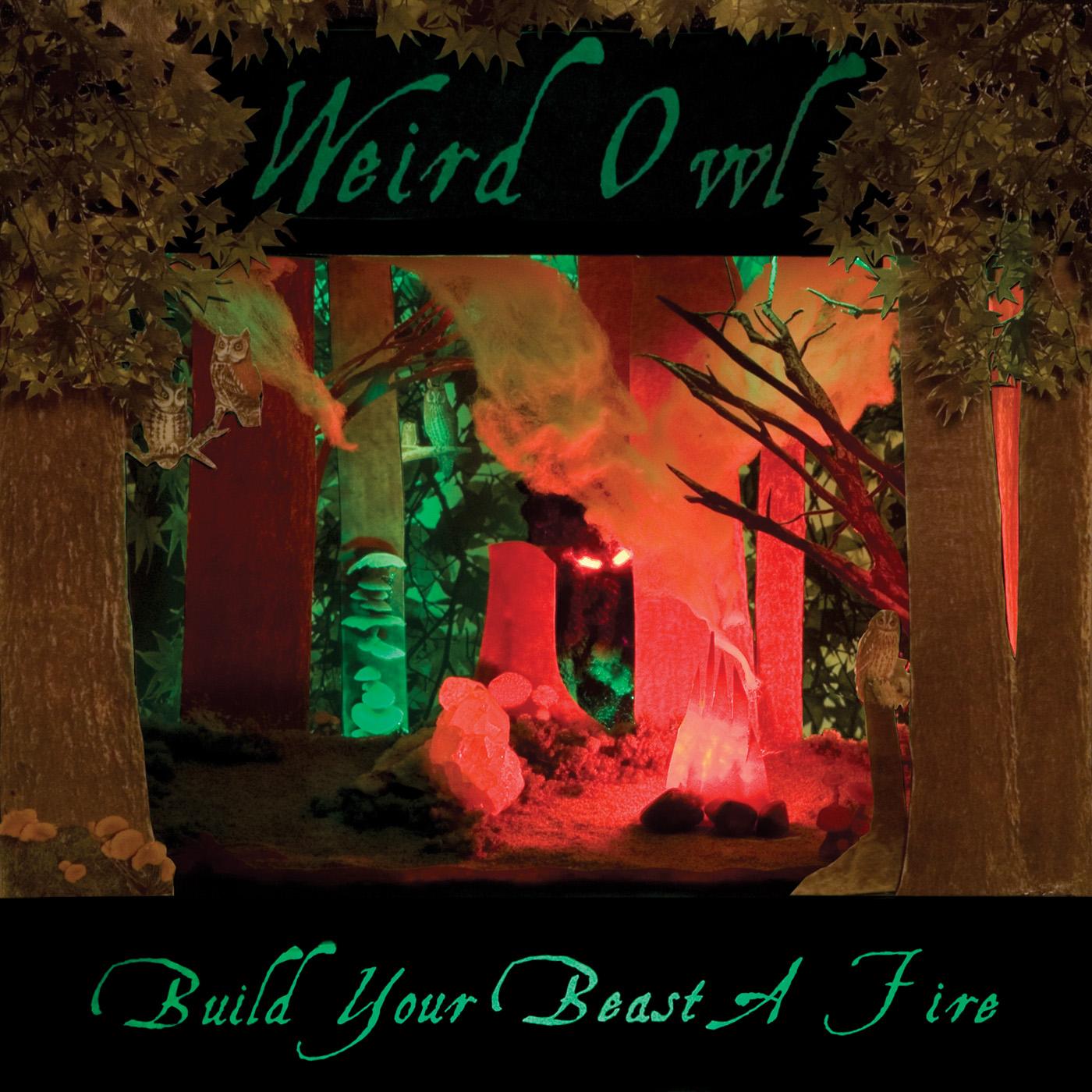 Weird Owl - Build Your Beast A Fire | CD