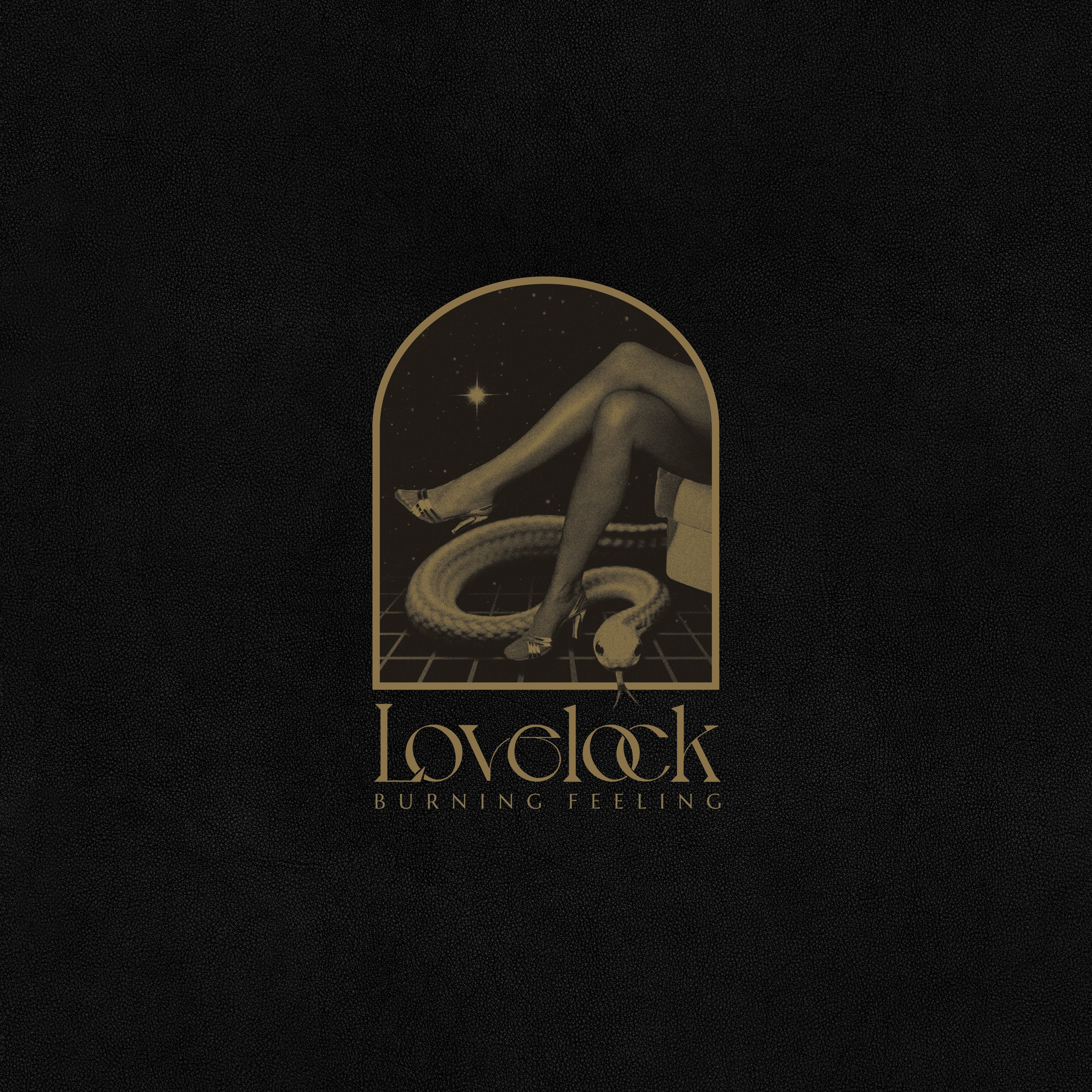 Lovelock - Burning Feeling | Vinyl