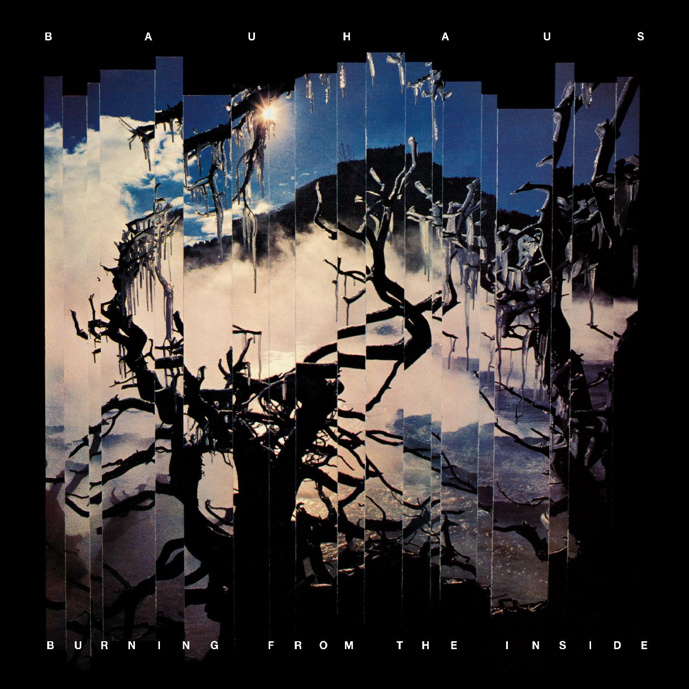 Bauhaus - Burning From The Inside | CD