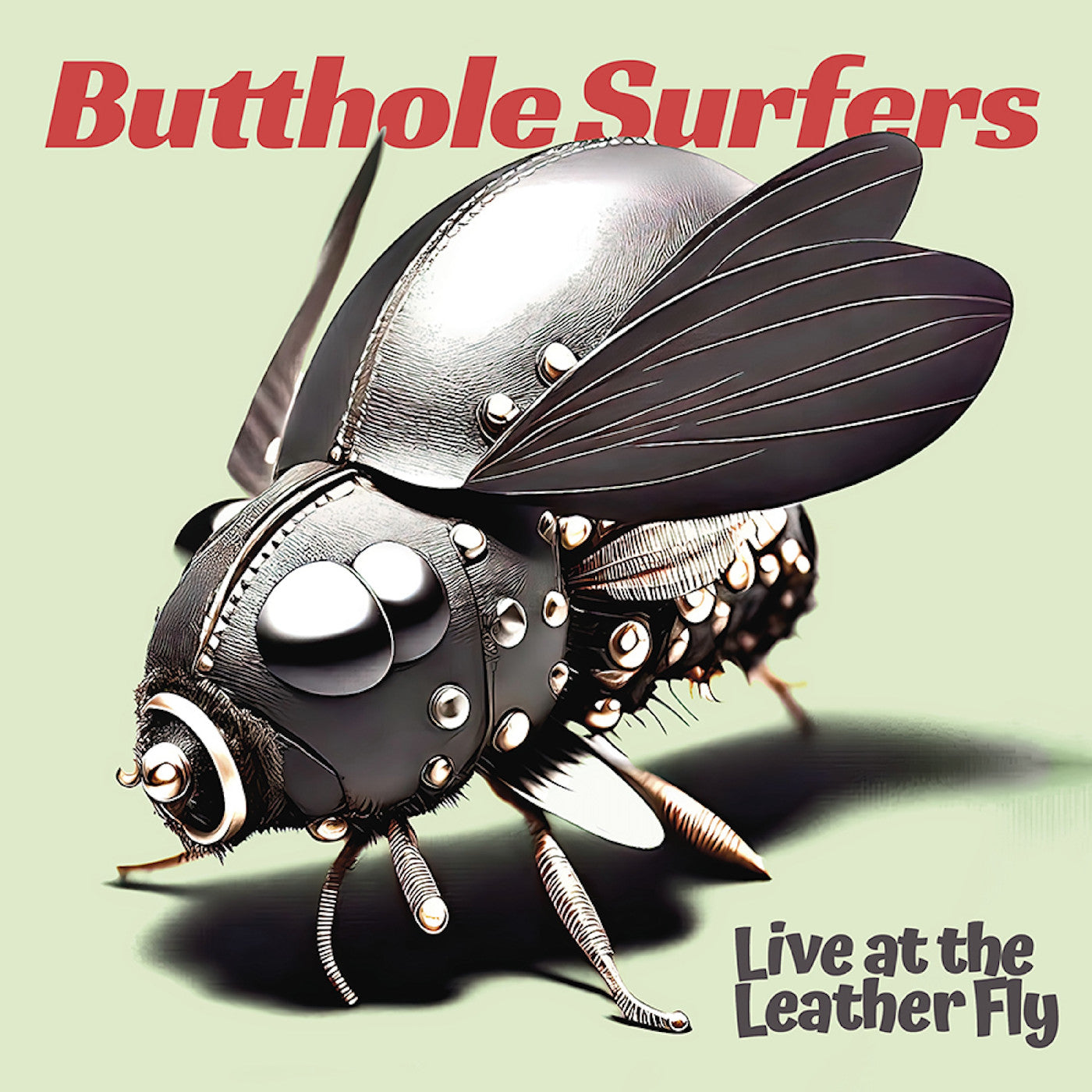 Butthole Surfers | Live At The Leather Fly (Opaque Pink Vinyl) | Vinyl