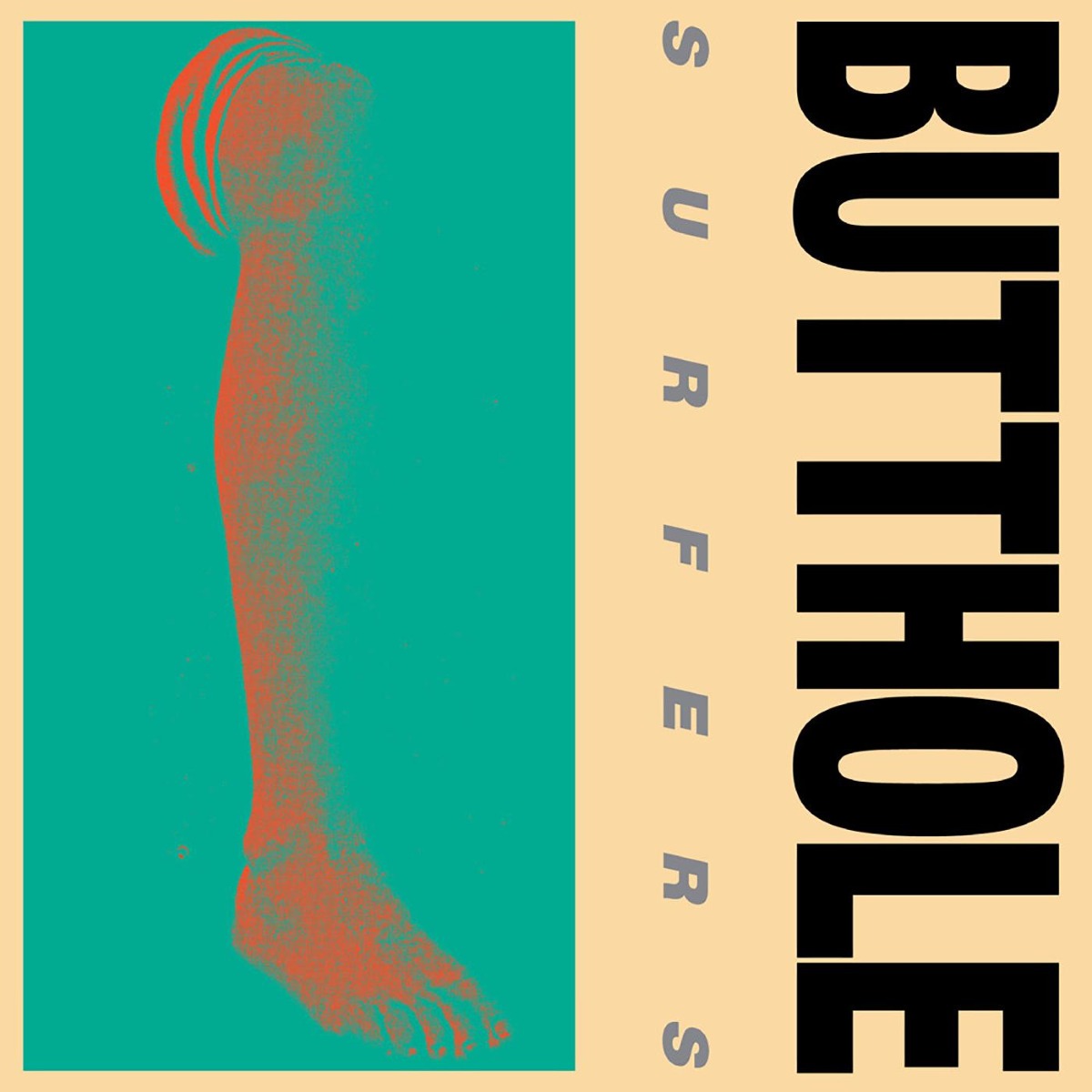 Butthole Surfers - Rembrandt Pussyhorse | Vinyl