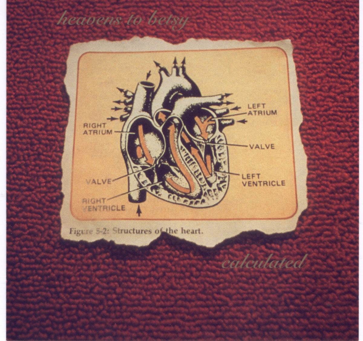 Heavens to Betsy - Calculated | CD