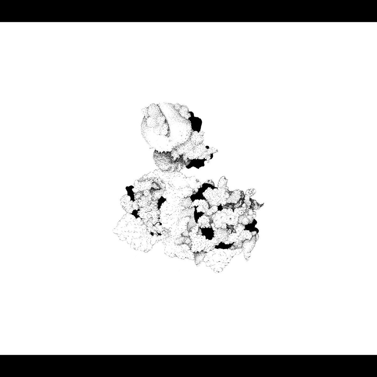 Anna and Matt Mitchell Webber - Capacious Aeration | CD