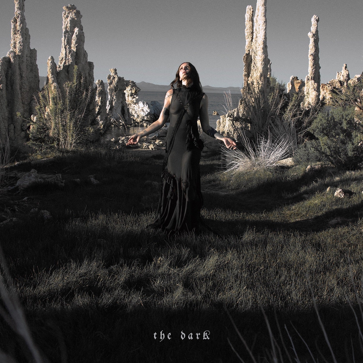 Chelsea Wolfe - The Dark | CD