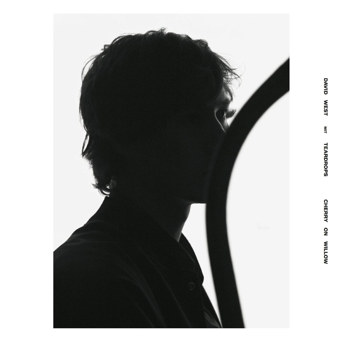 David With Teardrops West - Cherry On Willow | Vinyl