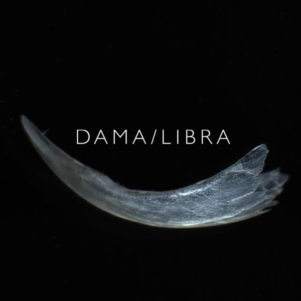 Dama/Libra - Claw | CD