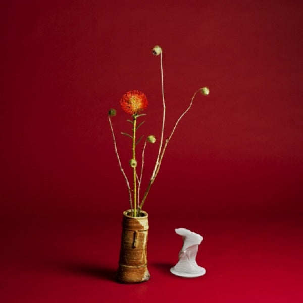Seiho - Collapse | Vinyl