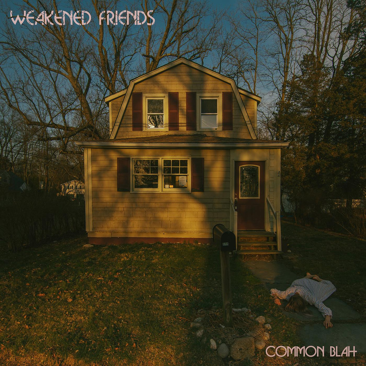 Weakened Friends - Common Blah | CD