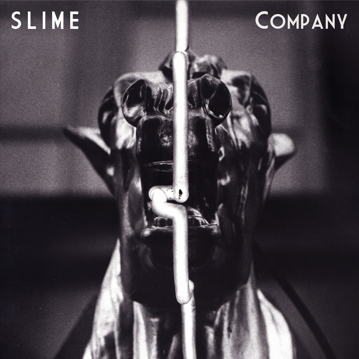 Slime - Company | Vinyl