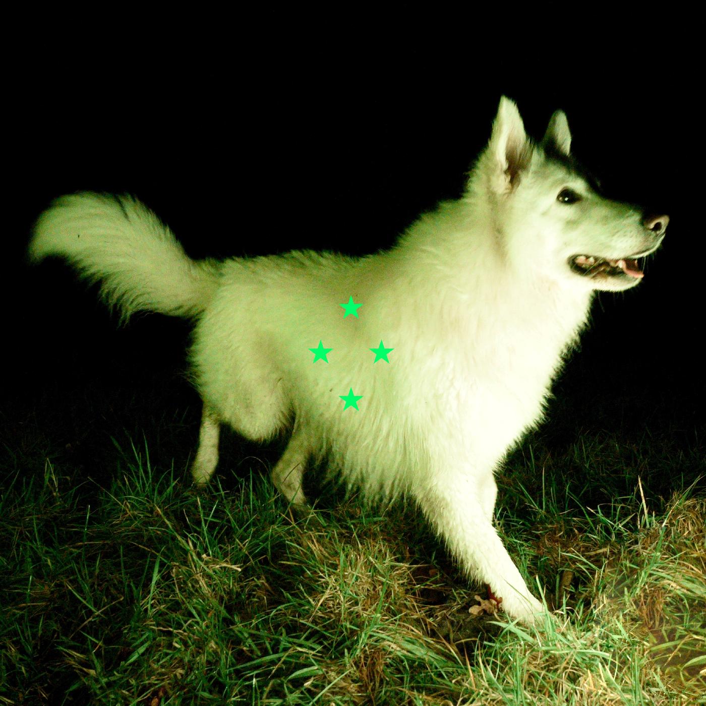Real Farmer - Compare What's There (FLUORESCENT GREEN VINYL) | Vinyl