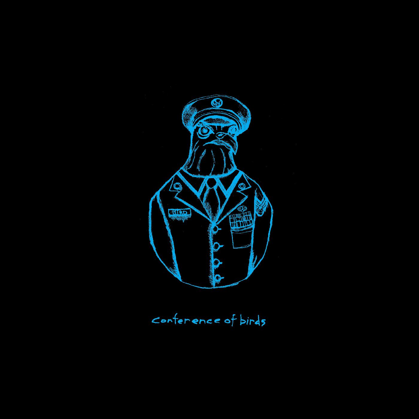 Avey Tare - Conference of Birds / Birds in Disguise | Vinyl