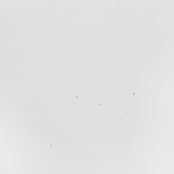 TODD ANDERSON-KUNERT - Conjectures | Vinyl