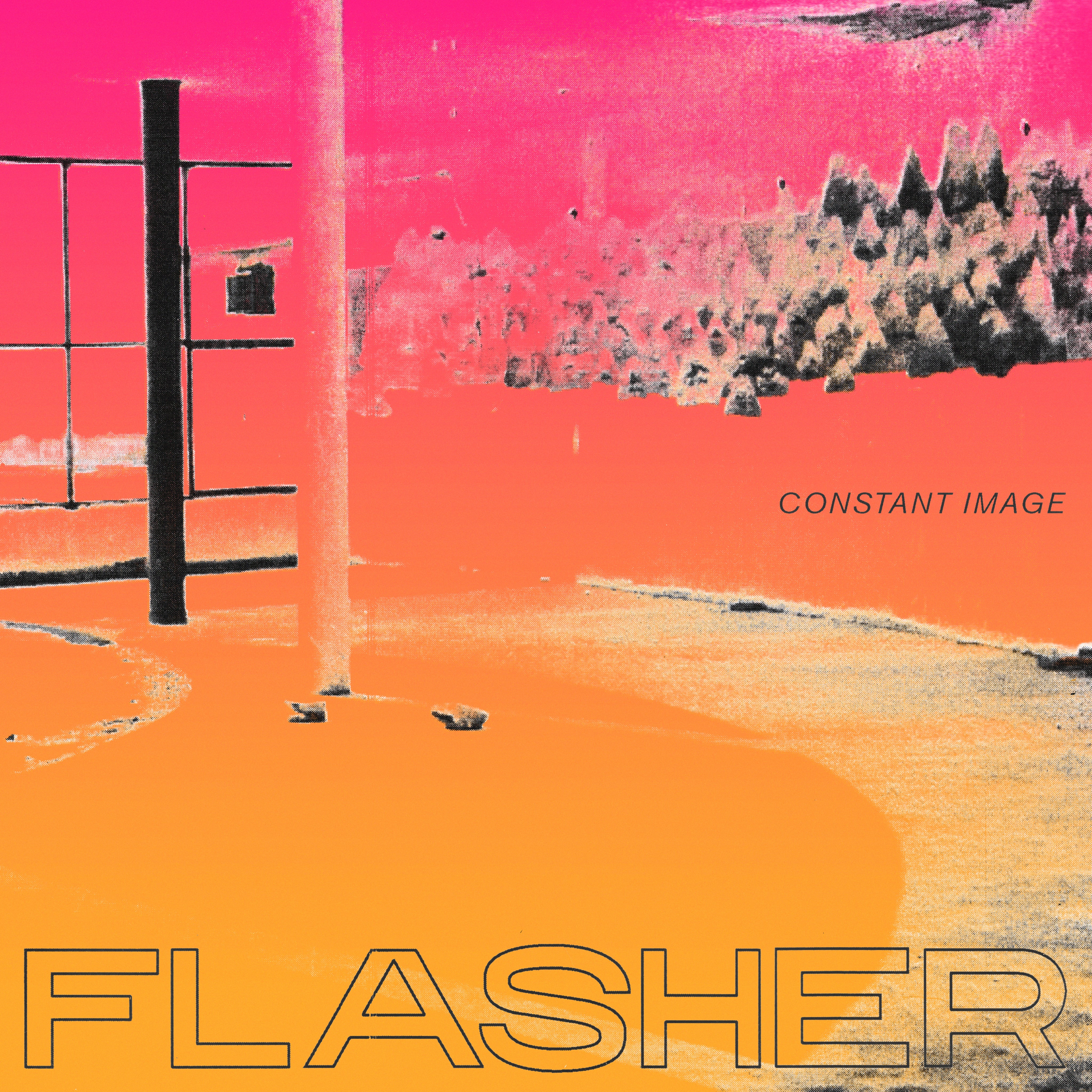 Flasher - Constant Image | Vinyl