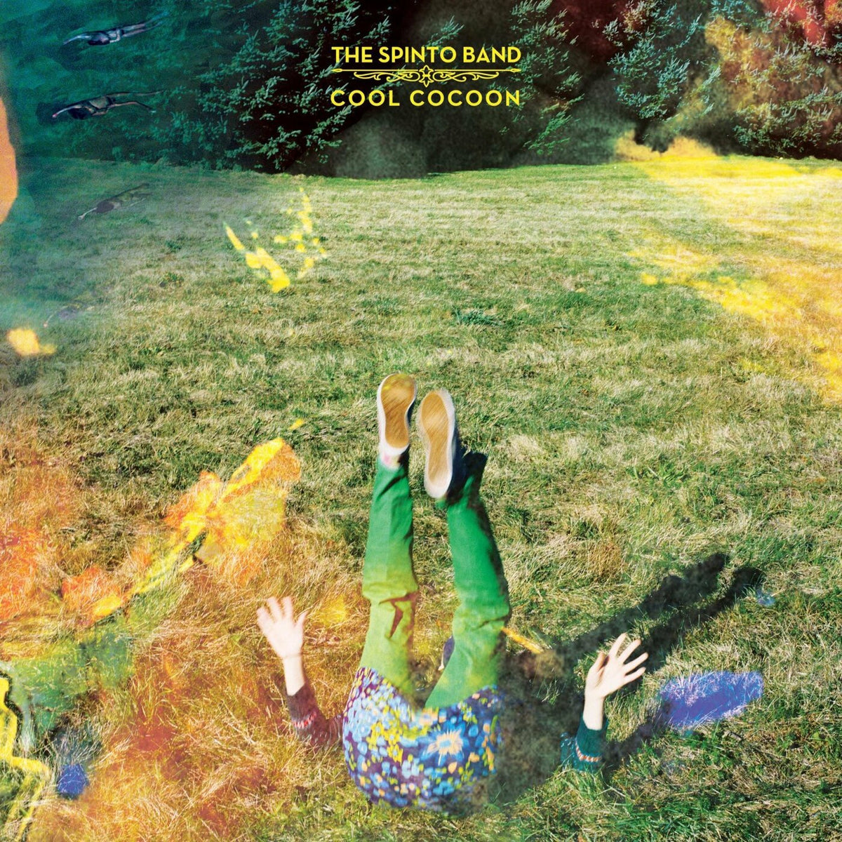 The Spinto Band - Cool Cocoon | CD