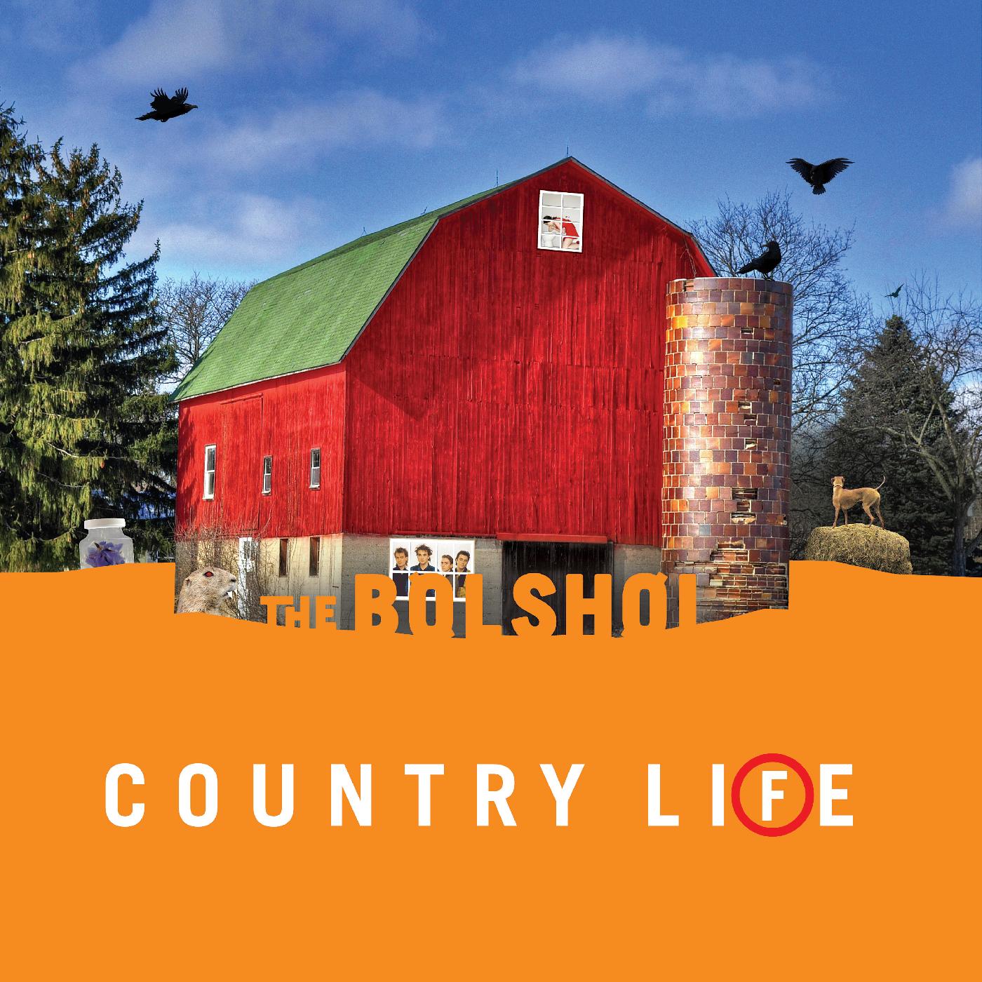 The Bolshoi - Country Life (GREEN & ORANGE VINYL) | Vinyl