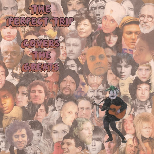 THE PERFECT TRIP - Covers the Greats | CD