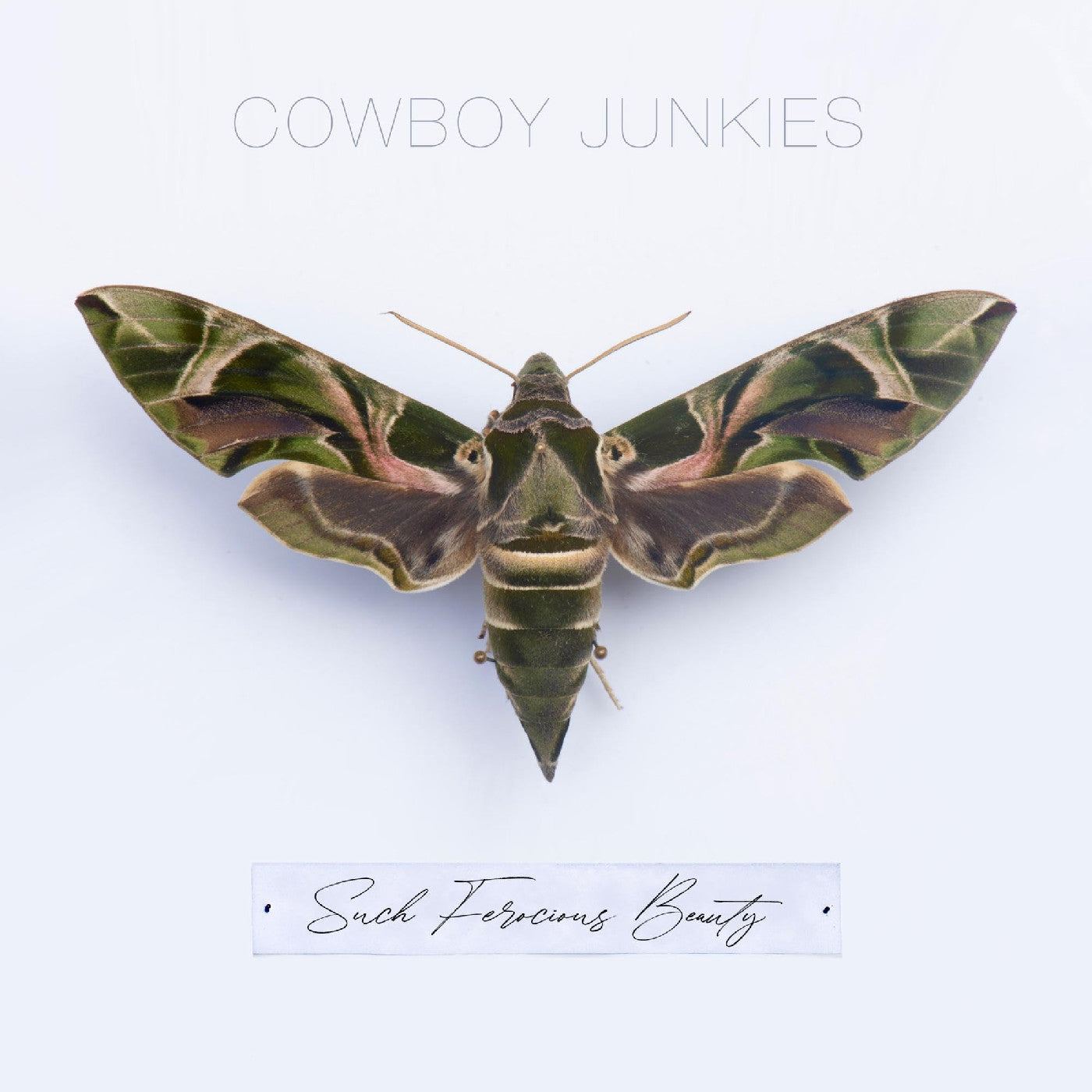 Cowboy Junkies | Such Ferocious Beauty (Green Translucent Vinyl) | Vinyl