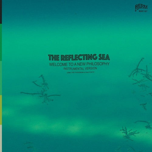 Damu the Fudgemunk & Raw Poetic - Instrumentals From The Reflecting Sea (Green & Blue Vinyl) | Vinyl
