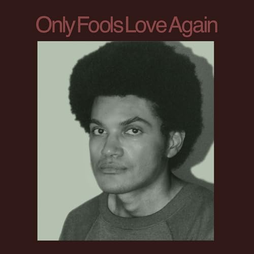 Danny Ayala - Only Fools Love Again | Vinyl