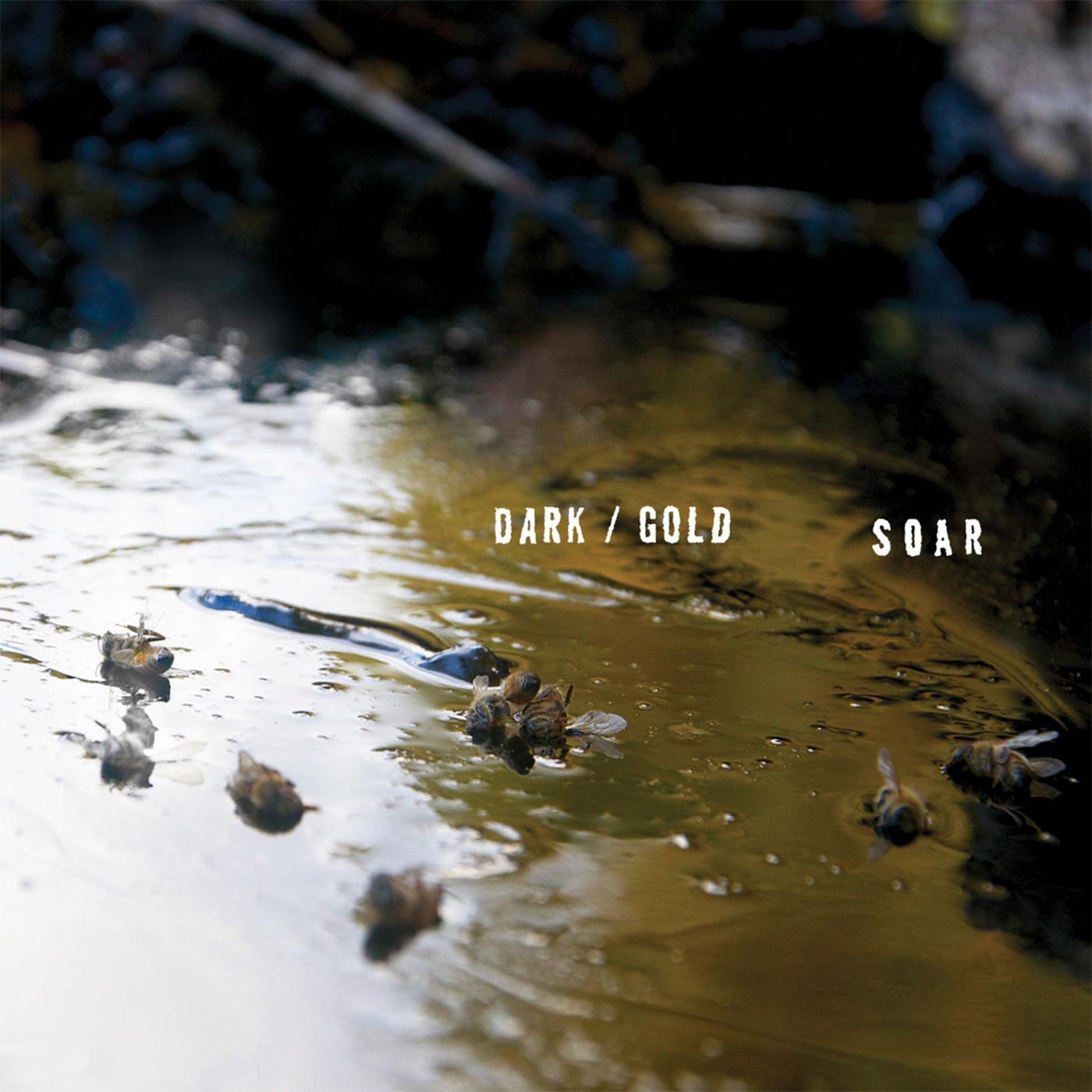 SOAR - dark / gold | Vinyl