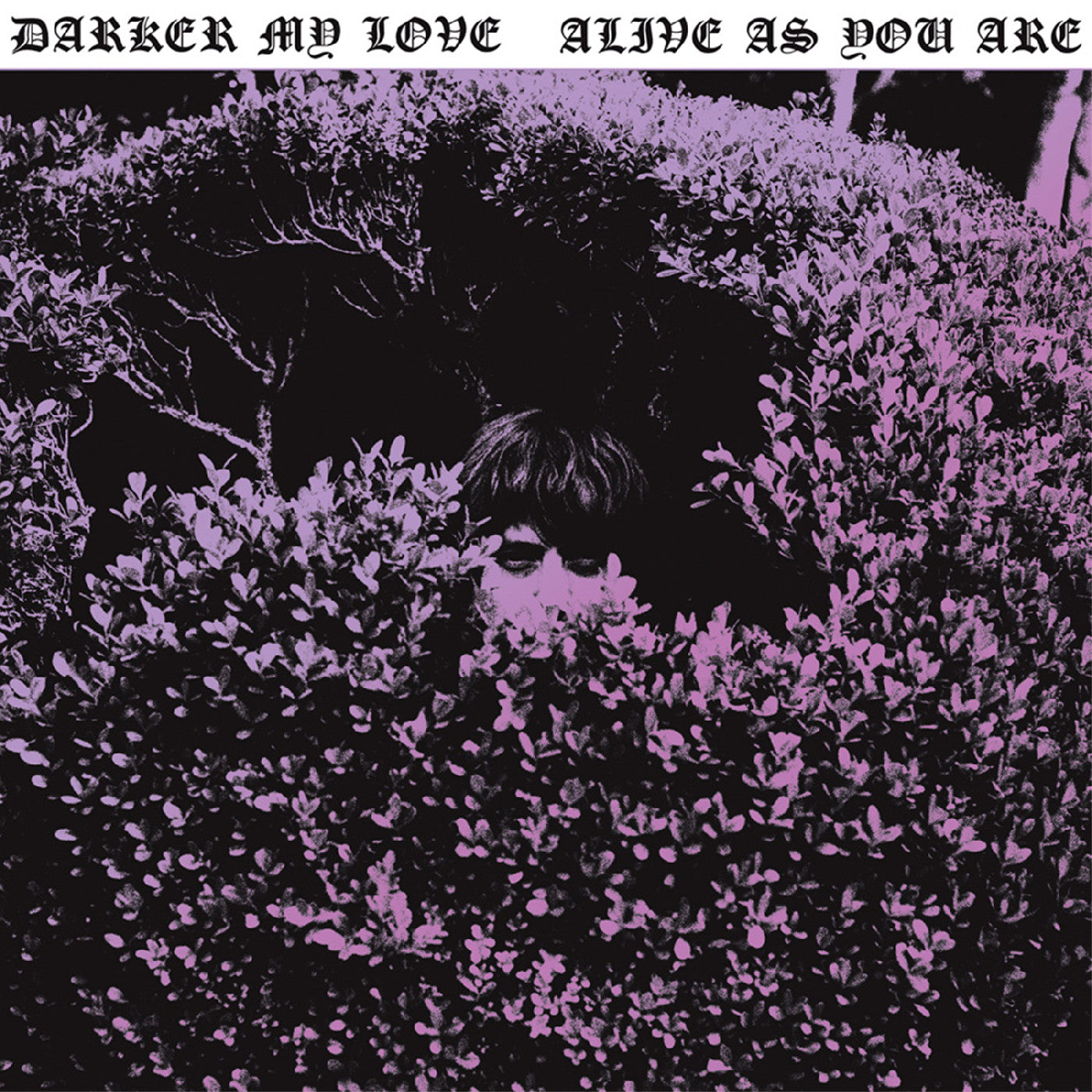Darker My Love - Alive As You Are | Vinyl