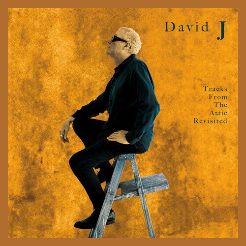 David J - Tracks From The Attic Revisited | Vinyl