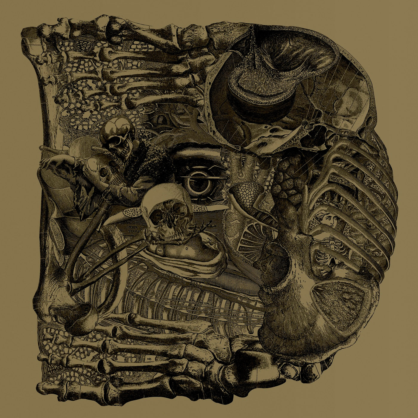 Boris - Dear | CD