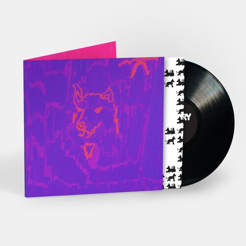 Dehd - Poetry | Vinyl