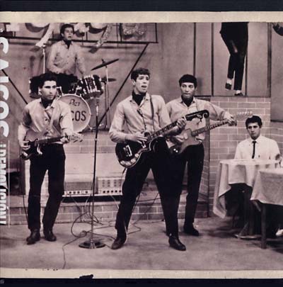 LOS SAICOS - Demolicion: The Complete Recordings | Vinyl