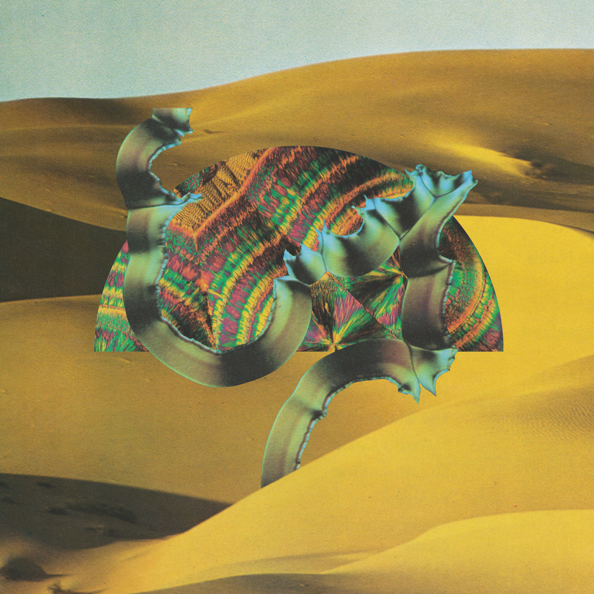 Django Django - Django Django | Vinyl