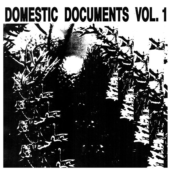 VA - Domestic Documents Vol. 1: Compiled by Butter Sessions and Noise In My Head | Vinyl