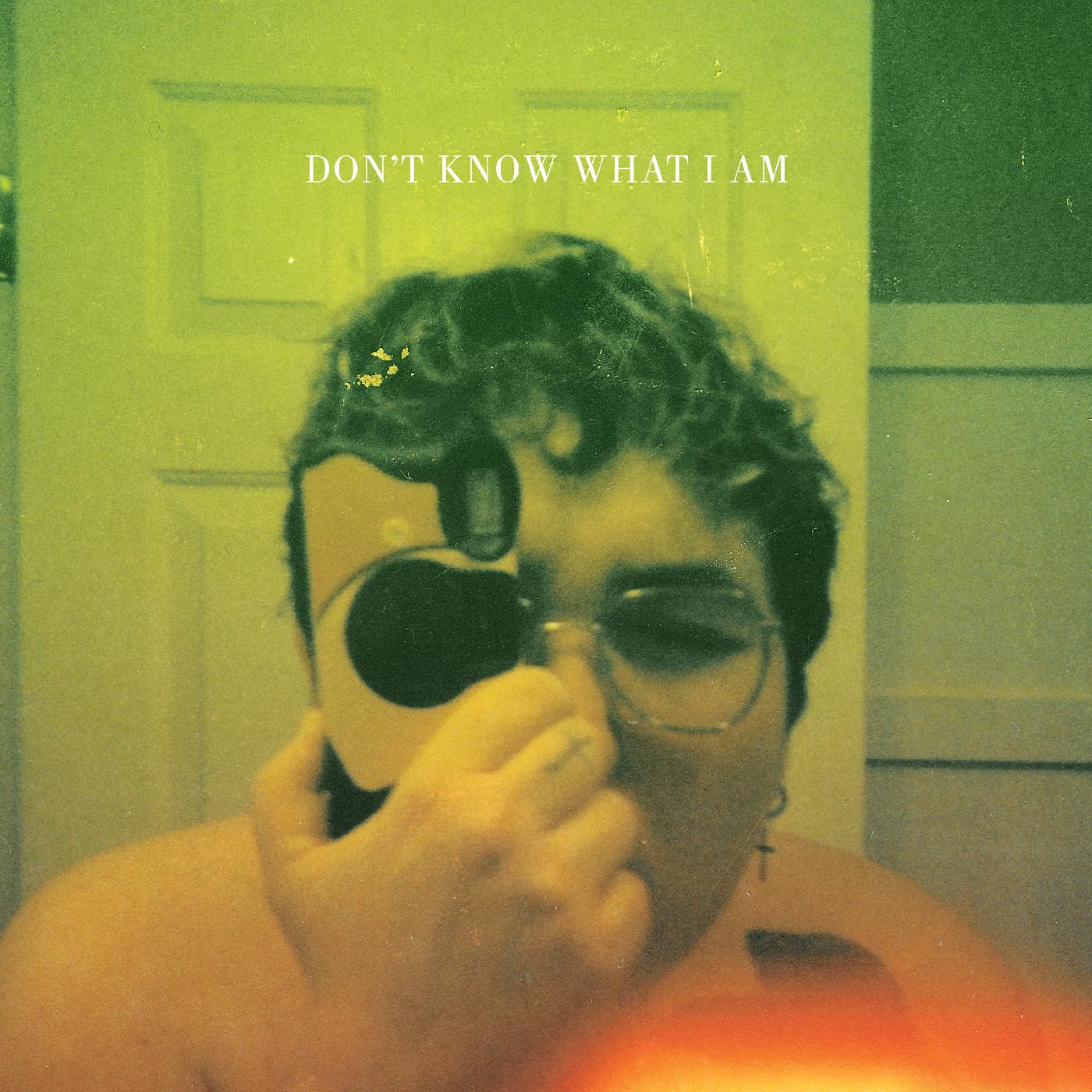 Alien Boy - Don't Know What I Am (SPLIT PINK/YELLOW VINYL) | Vinyl