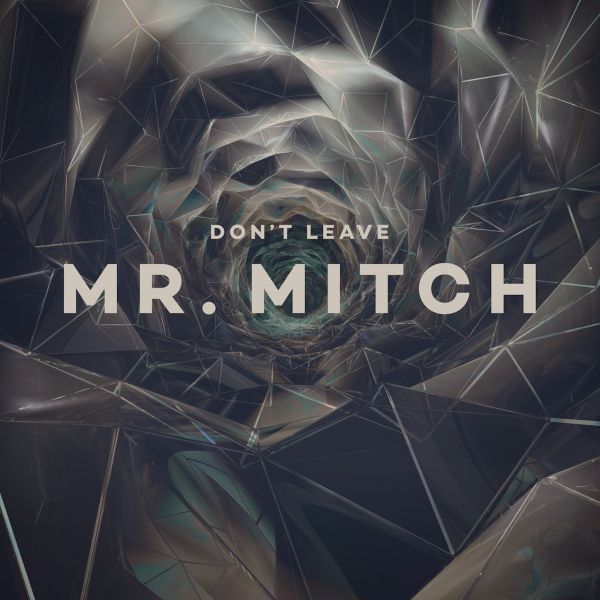 Mr. Mitch - Don't Leave - 12" | Vinyl