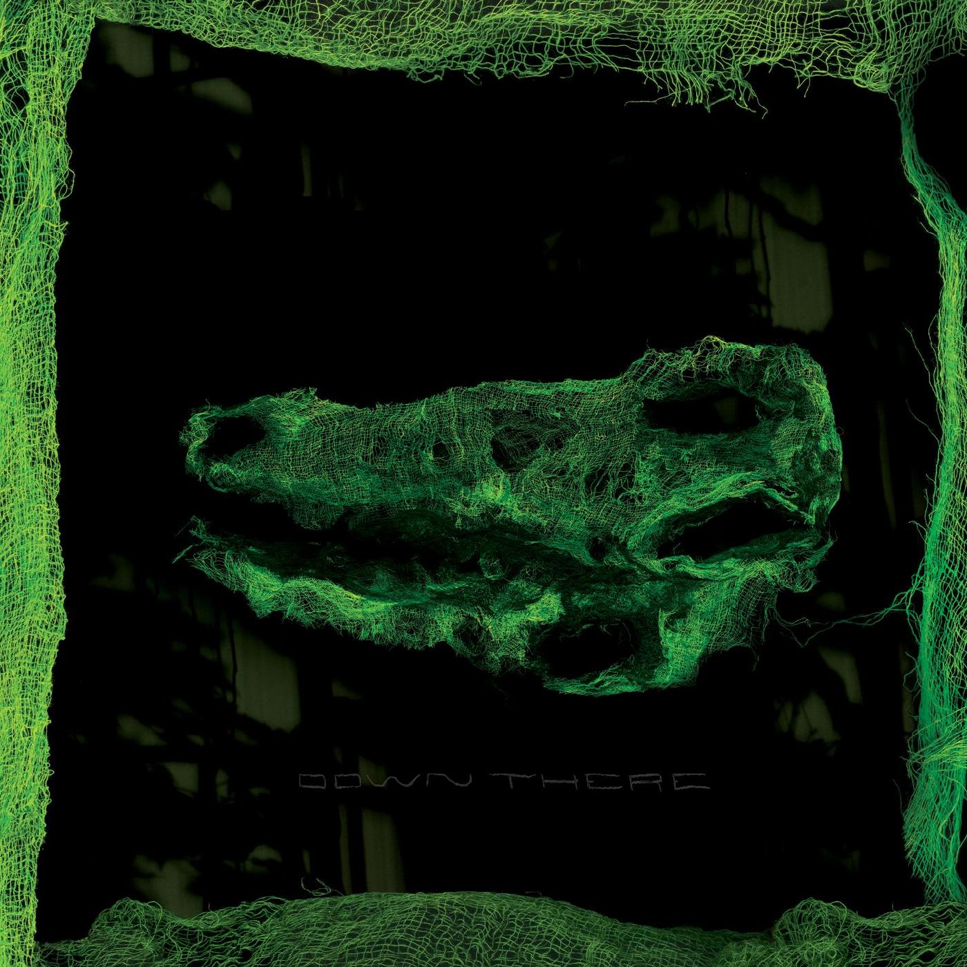 Avey Tare - Down There | Vinyl