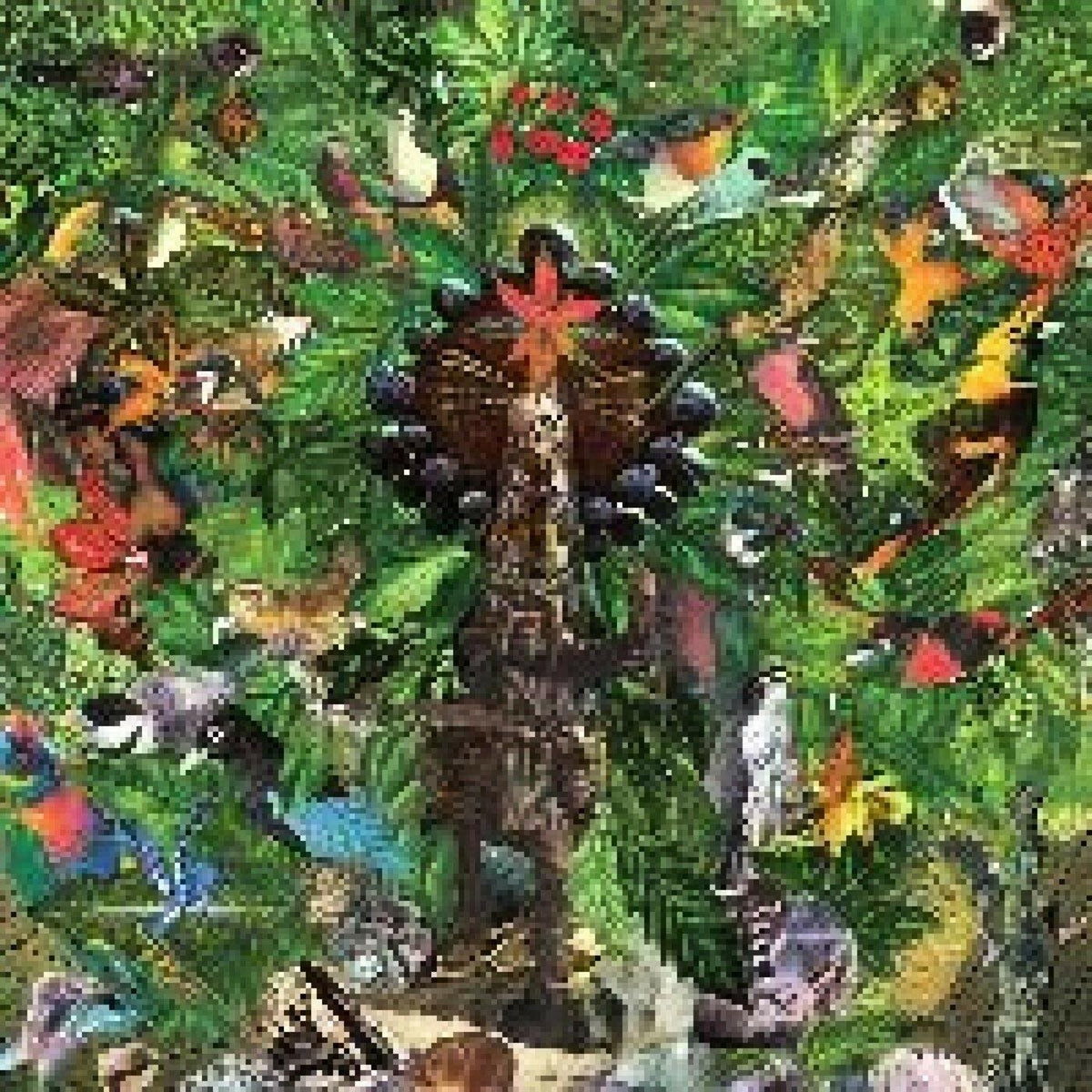 Plankton Wat - Drifter's Temple | Vinyl