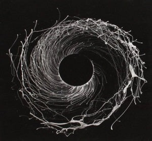 Dawn of Midi - Dysnomia | CD