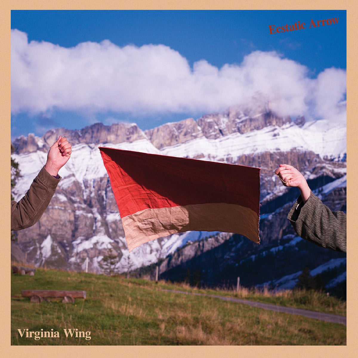 Virginia Wing - Ecstatic Arrow | Vinyl