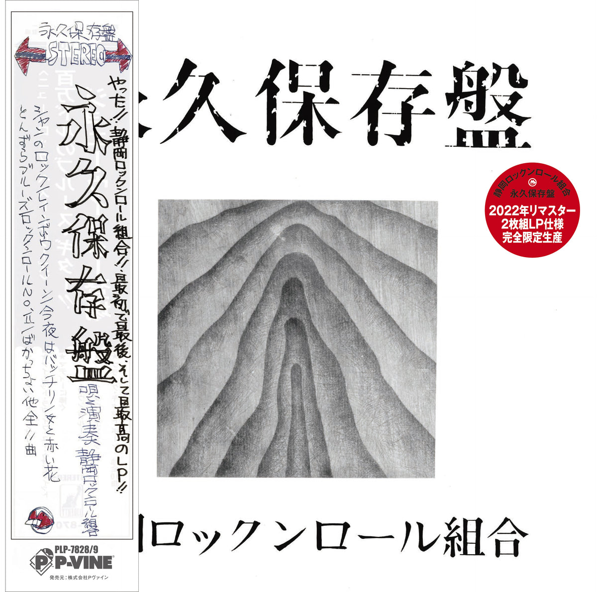 Shizuoka Rock’n’Roll Kumiai - Eikyu Hozonbane | Vinyl