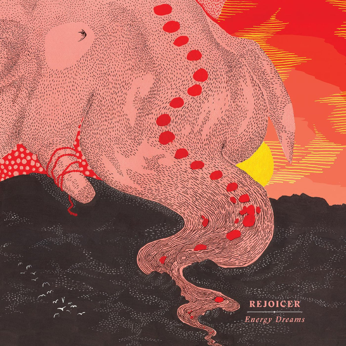 Rejoicer - Energy Dreams | Vinyl