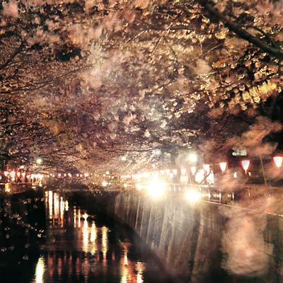 VA - Enjoy The Silence Vol. 2 | CD