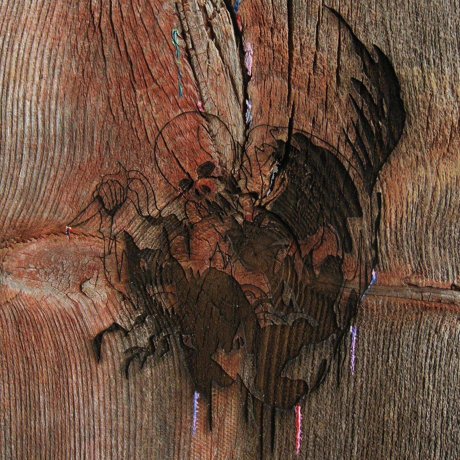 Avey Tare's Slasher Flicks - Enter The Slasher House | CD