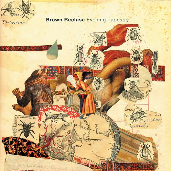 Brown Recluse - Evening Tapestry | Vinyl