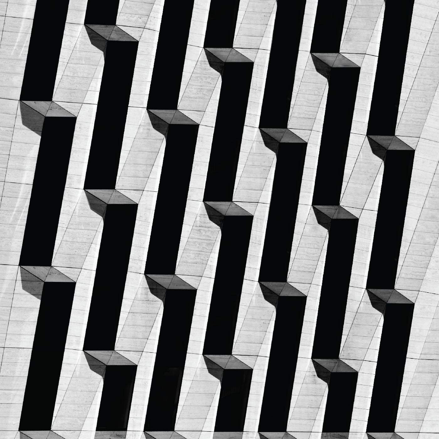 Snow Palms - Everything Ascending | Vinyl