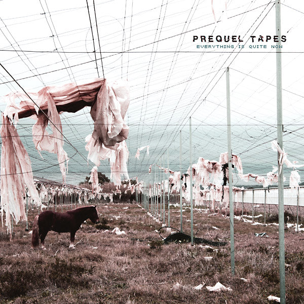 Prequel Tapes - Everything Is Quite Now | Vinyl