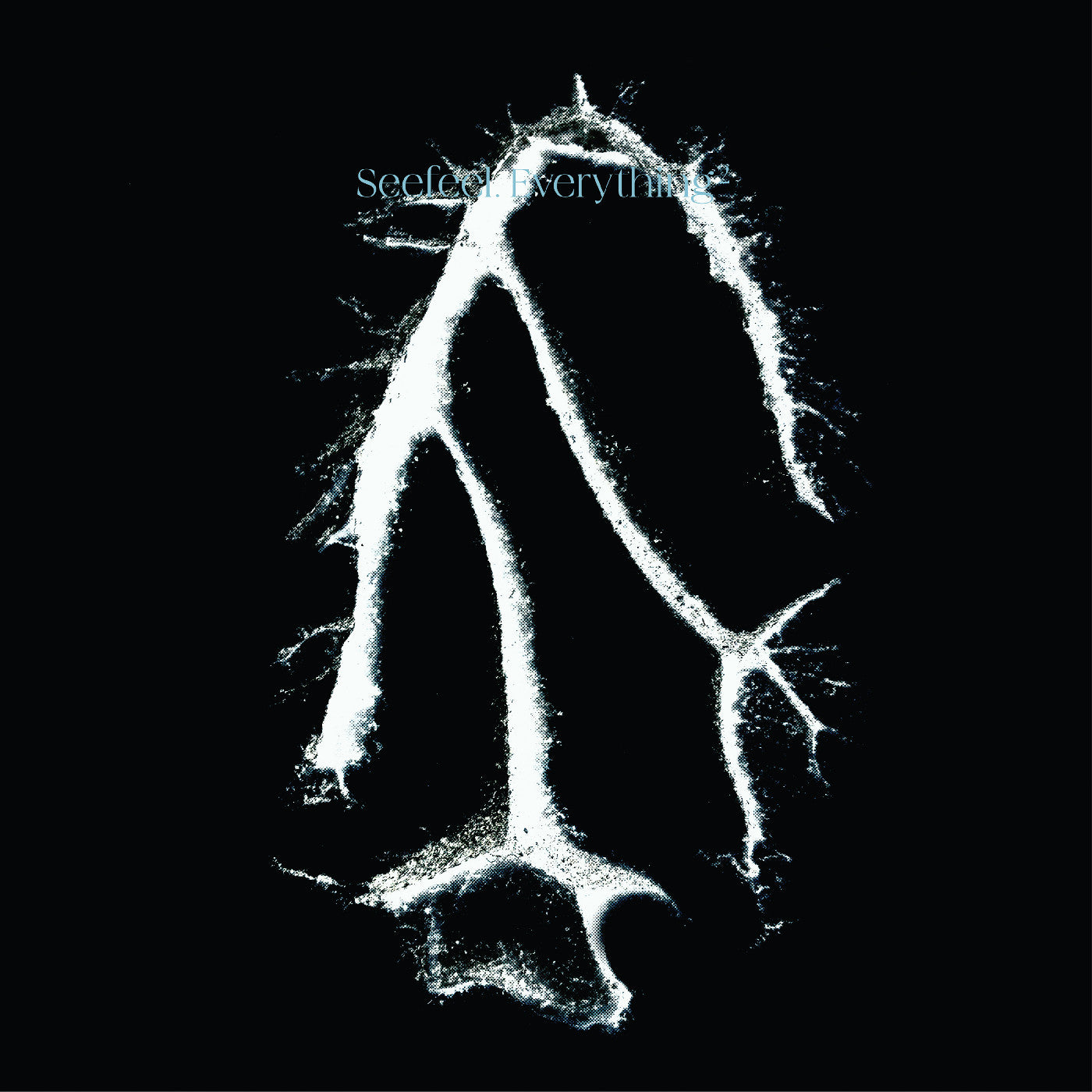 Seefeel | Everything Squared | CD